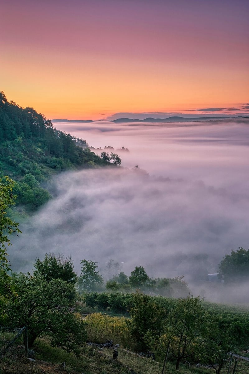 Mystical Whisper Image